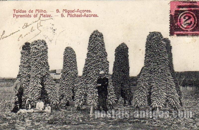 Bilhete postal ilustrado dos Açores, Toldas de Milho, São Miguel | Portugal em postais antigos 