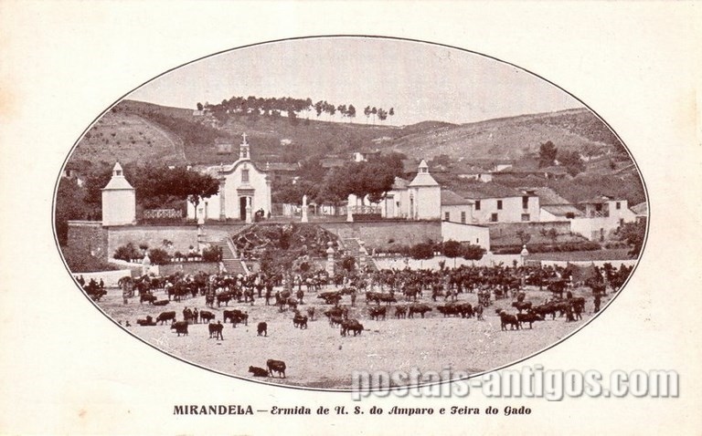 Bilhete postal ilustrado da Ermida do Amparo e feira do gado, Mirandela | Portugal em postais antigos