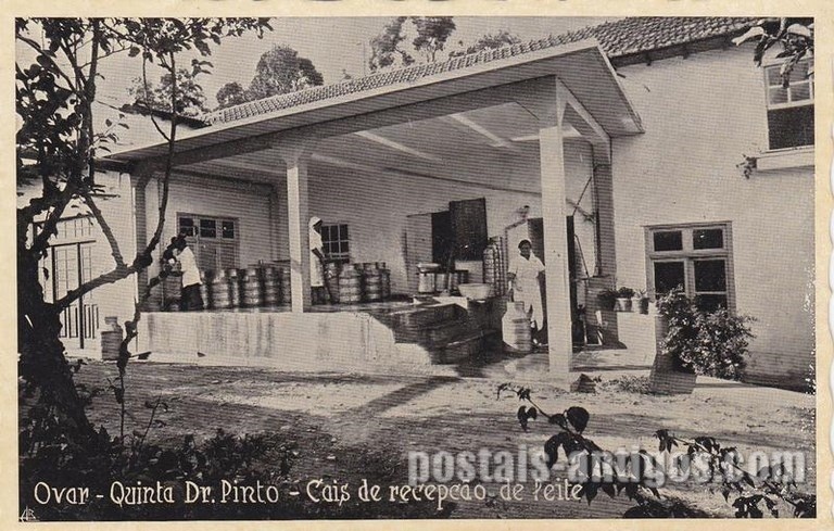 Bilhete postal ilustrado dos Cais de recepção do leite,​ Quinta Pinto,Ovar | Portugal em postais antigos