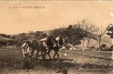Bilhete postal ilustrado de Elvas: lavrando a terra | Portugal em postais antigos 
