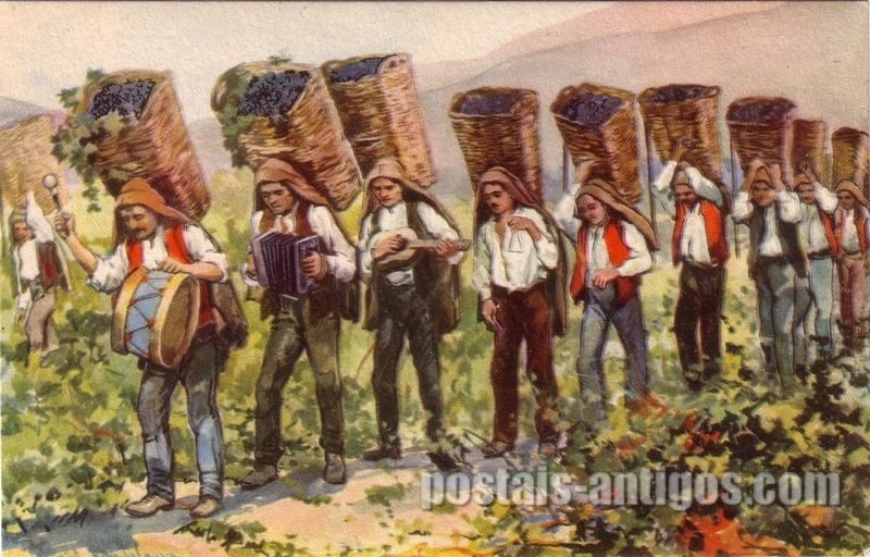 Bilhete postal ilustrado por Alberto Souza: Transportando uvas, Douro | Portugal em postais-antigos.com