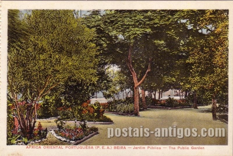 Bilhete postal ilustrado de Moçambique, Jardim Público da ​​Beira | Portugal em postais antigos 