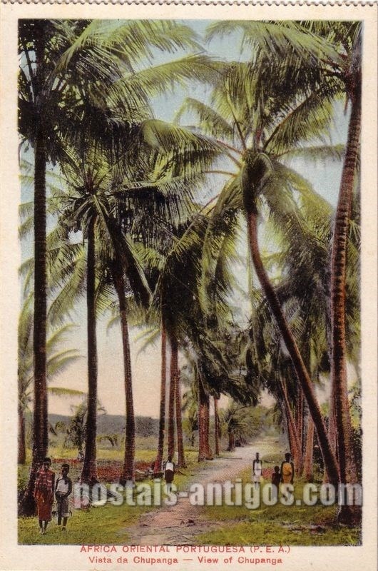 Bilhete postal ilustrado de Moçambique, Vista da Chupanga, Marromeu | Portugal em postais antigos 