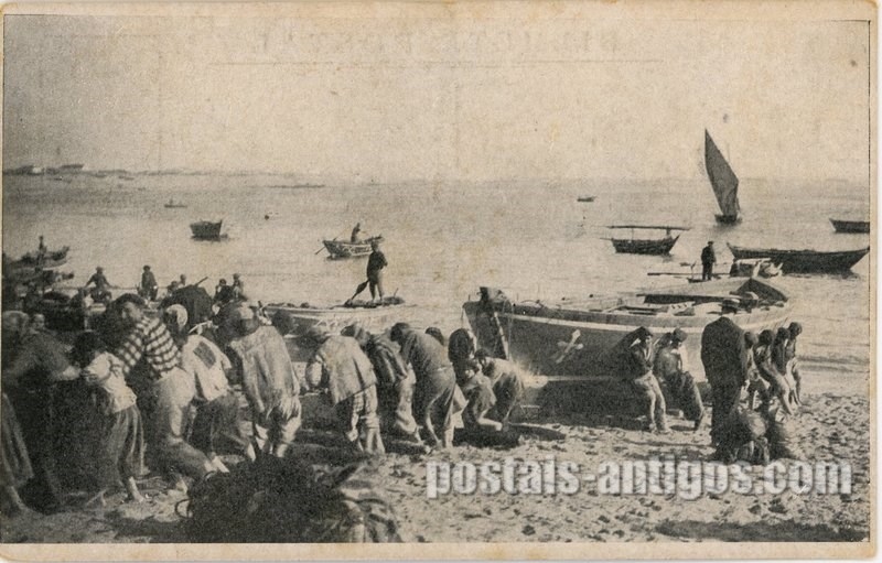 Bilhete postal ilustrado de Nazaré, Faina de pesca (Ala-riba) | Portugal em postais antigos