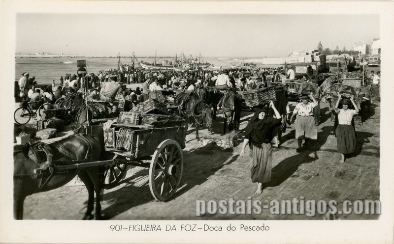 Bilhete postal ilustrado de Figueira da Foz, doca do pescado | Portugal em postais antigos