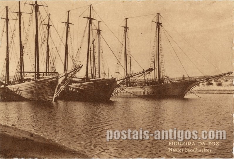 Bilhete postal ilustrado de Figueira da Foz, navios bacalhoeiros | Portugal em postais antigos