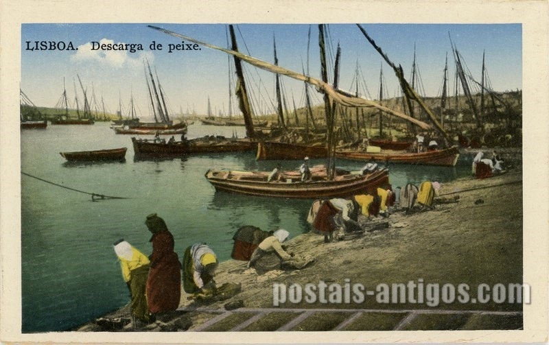 Bilhete postal ilustrado de Lisboa, descarga de peixe | Portugal em postais antigos