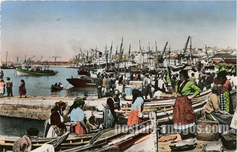 Bilhete postal ilustrado de Lisboa, descarga de peixe nos cais da Ribeira | Portugal em postais antigos