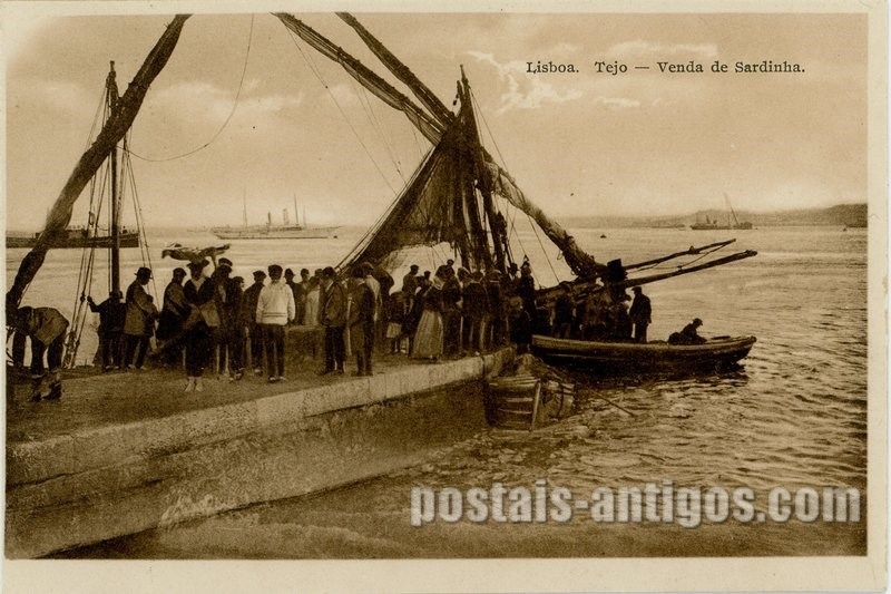 Bilhete postal ilustrado de Lisboa, Tejo, venda de sardinha | Portugal em postais antigos