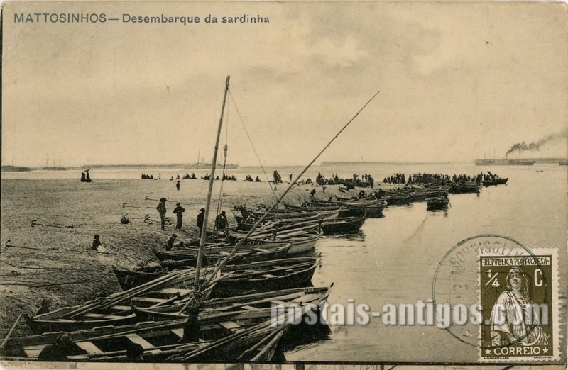 Bilhete postal ilustrado de Matosinhos, desembarque da sardinha | Portugal em postais antigos
