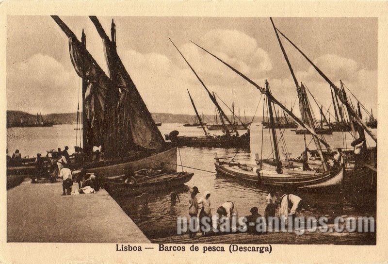 Bilhete postal de Lisboa, barcos de pesca | Portugal em postais antigos