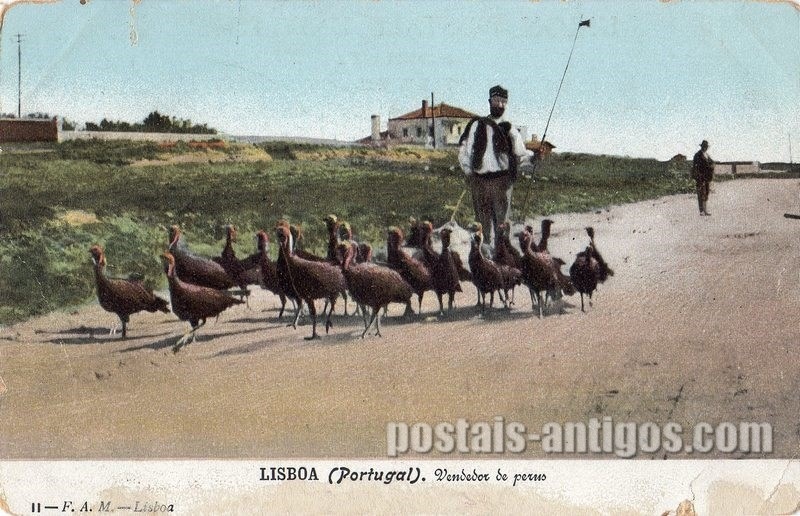 Bilhete postal de Lisboa, Vendedor de perus | Portugal em postais antigos