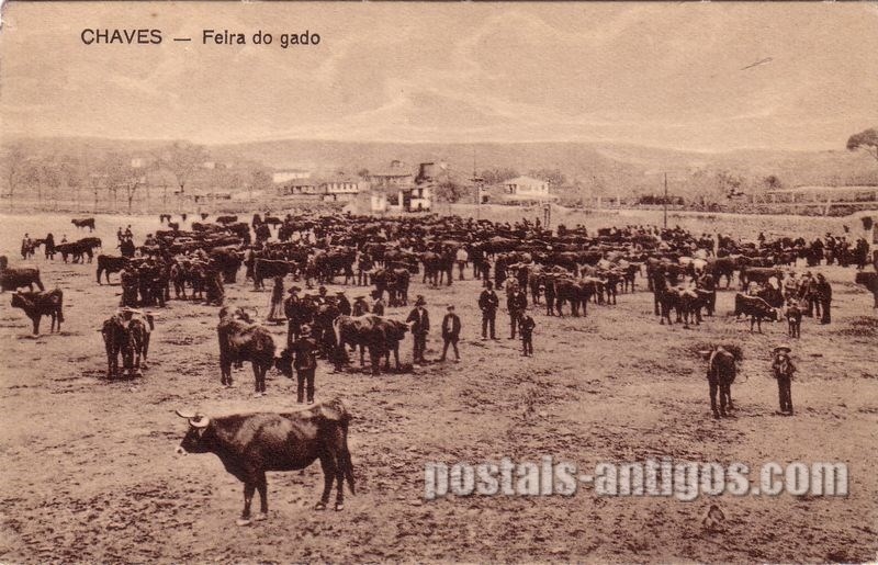 Bilhete postal de Chaves, Feira de gado | Portugal em postais antigos
