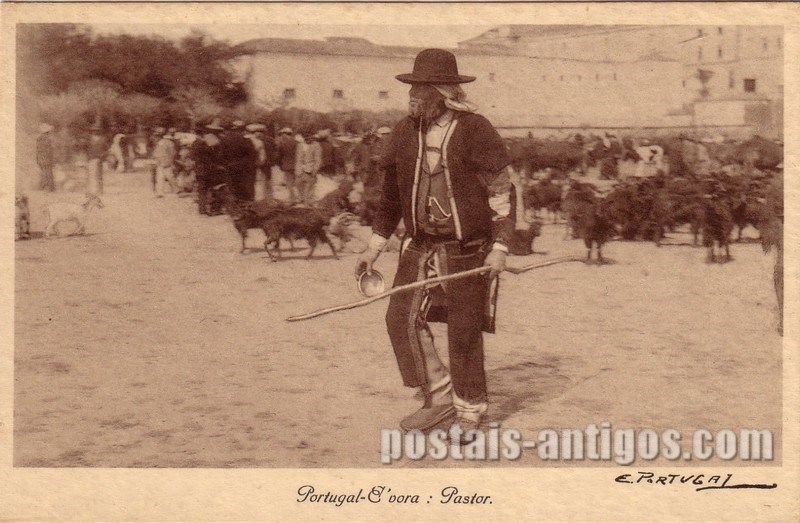 Bilhete postal de Evora, Pastor em dia de feira | Portugal em postais antigos