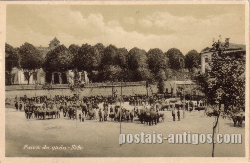 Bilhete postal de Fafe, feira de gado | Portugal em postais antigos