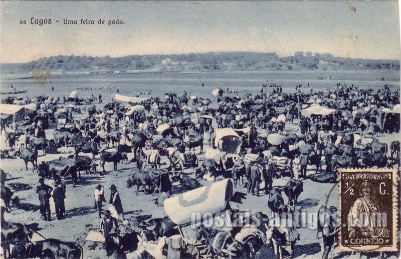 Bilhete postal de Lagos, uma feira de gado | Portugal em postais antigos