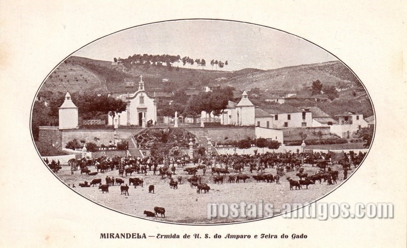 Bilhete postal de Mirandela, feira de gado | Portugal em postais antigos