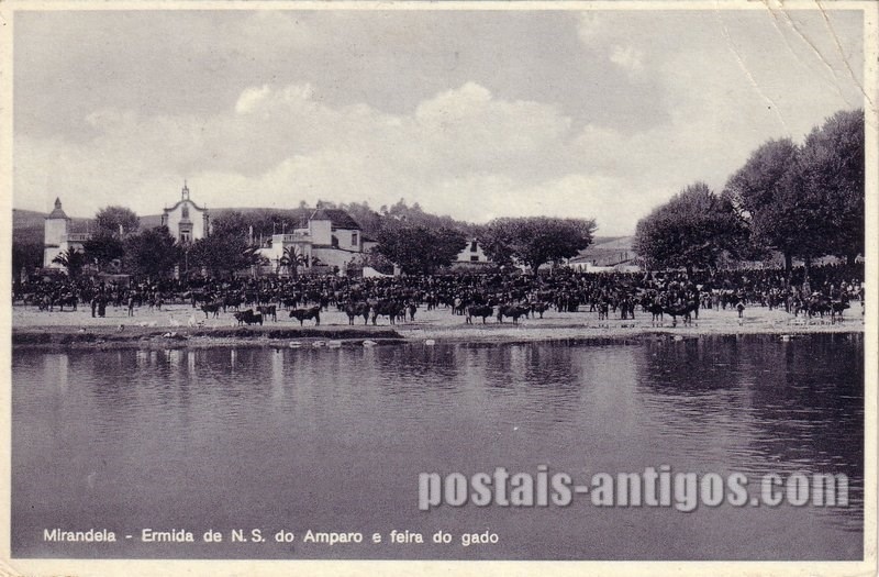 Bilhete postal de Mirandela, Ermida Ns do Amparo e feira do gado | Portugal em postais antigos