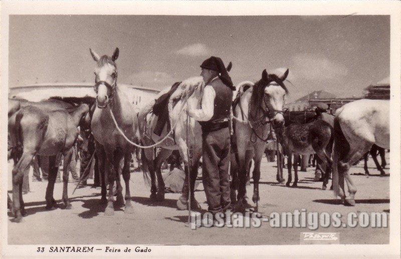 Bilhete postal de Santarém, Feira de Gado | Portugal em postais antigos