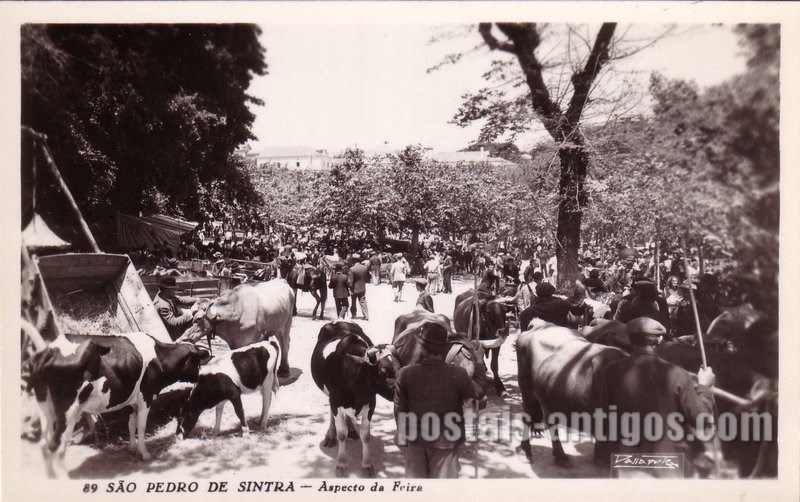Bilhete postal de Aspecto da Feira de São Pedro de Sintra | Portugal em postais antigos