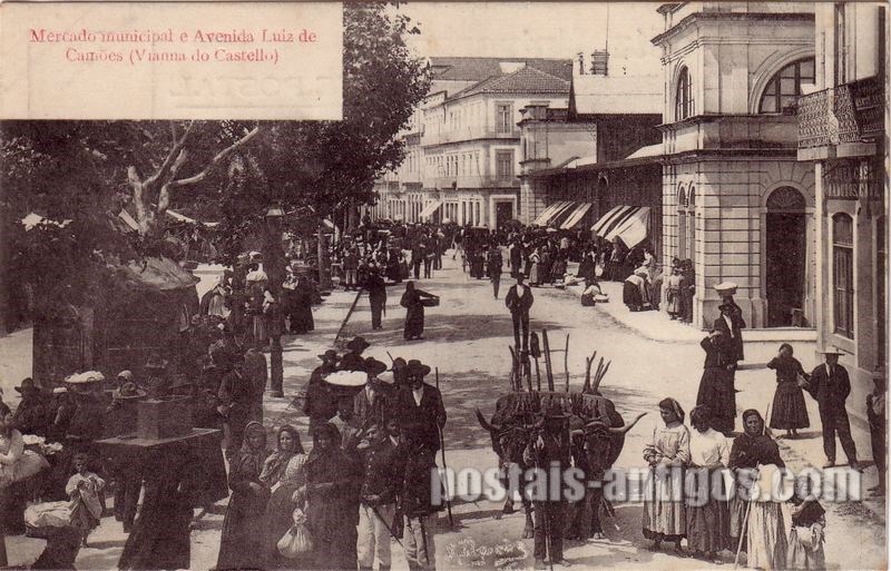 Bilhete postal de Viana do Castelo, mercado municipal e Avenida Luis de Camões | Portugal em postais antigos
