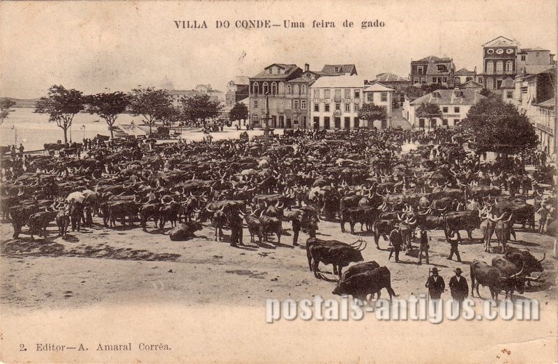 Bilhete postal de Vila do Conde, uma feira de gado | Portugal em postais antigos
