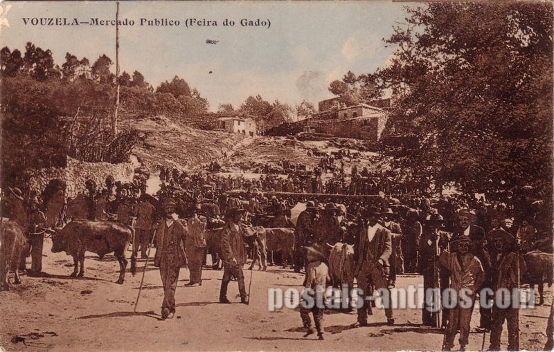 Bilhete postal de Vouzela, Mercado Público - Feira do Gado | Portugal em postais antigos