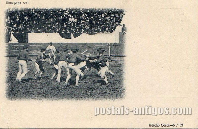 Lisboa: Uma pega real, Praça de Touros, Campo Pequeno | Portugal em postais-antigos.com