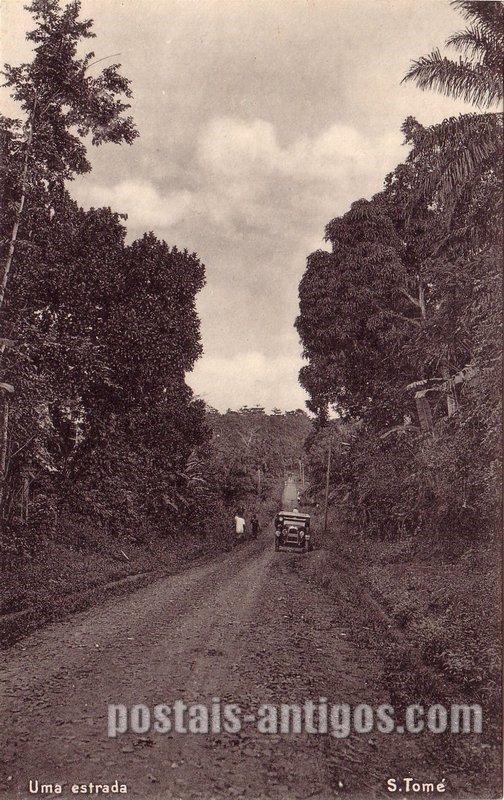 Bilhete postal ilustrado de São Tomé e Principe, uma estrada | Portugal em postais antigos