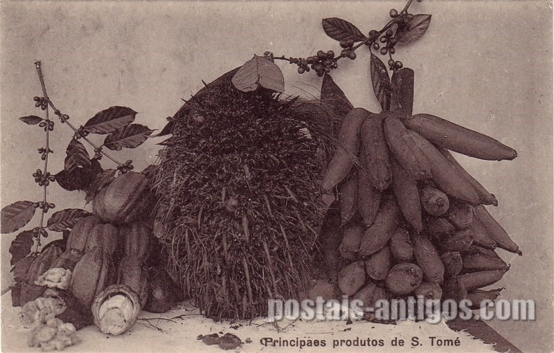 Bilhete postal ilustrado de São Tomé e Principe, Principais produtos | Portugal em postais antigos