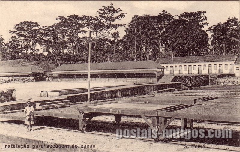 Bilhete postal ilustrado de São Tomé e Principe, Instalação para secagem de cacau | Portugal em postais antigos