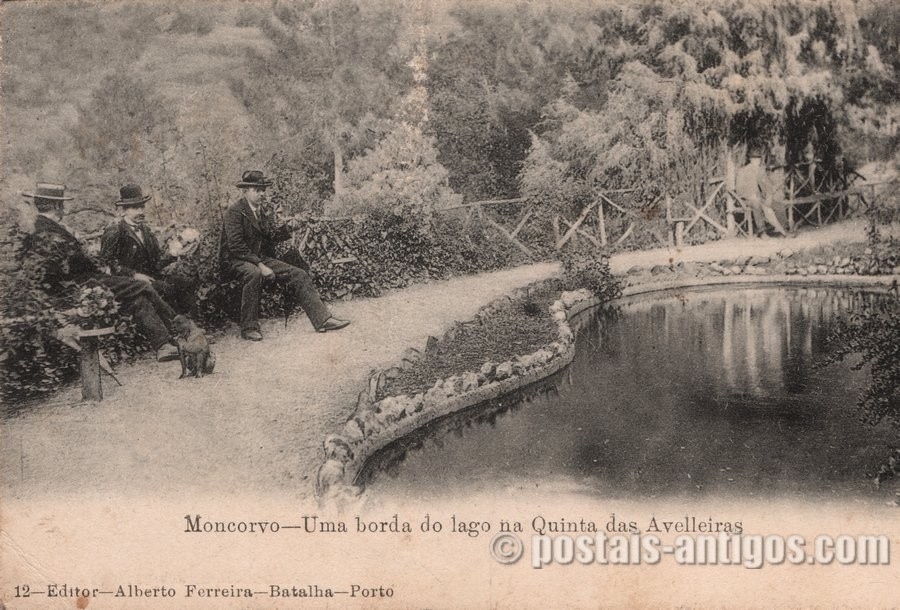 Bilhete postal ilustrado de Moncorvo - Uma borda do lago na Quinta das Avelleiras
