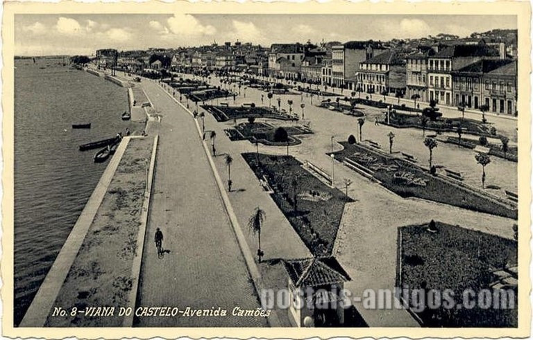 Bilhete postal ilustrado de Viana do Castelo, ​Girasol na Avenida Camões | Portugal em postais antigos