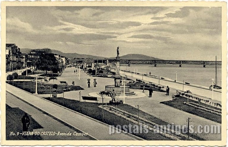 Bilhete postal ilustrado de Viana do Castelo, Girasol na Avenida Camões | Portugal em postais antigos