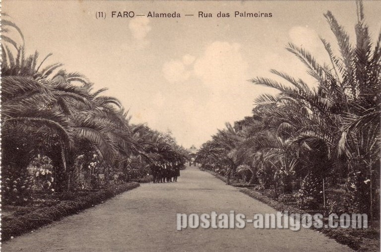 Bilhete postal de Faro: Alameda - Rua das Palmeiras | Portugal em postais antigos