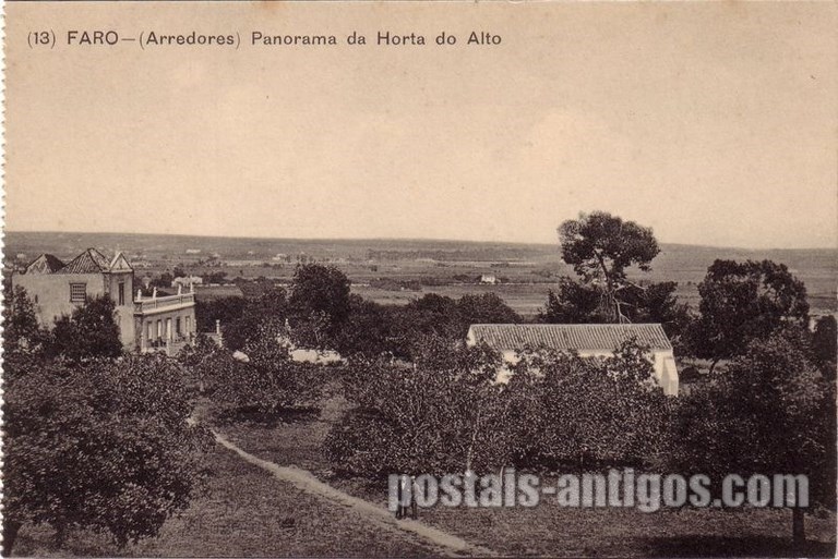Bilhete postal de Faro: Panorama da Horta do Alto | Portugal em postais antigos