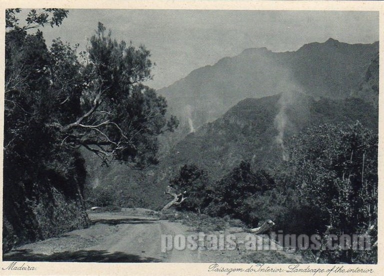 Bilhete postal ilustrado da Madeira, Paisagem do interior | Portugal em postais antigos 