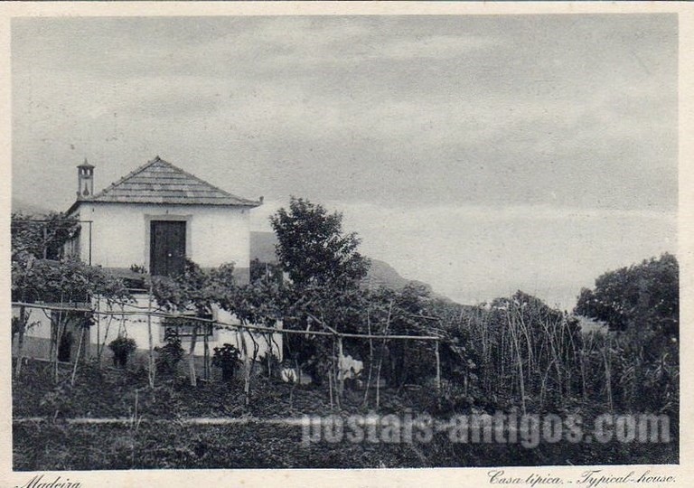 Bilhete postal ilustrado de Funchal, casa típica, Madeira | Portugal em postais antigos 