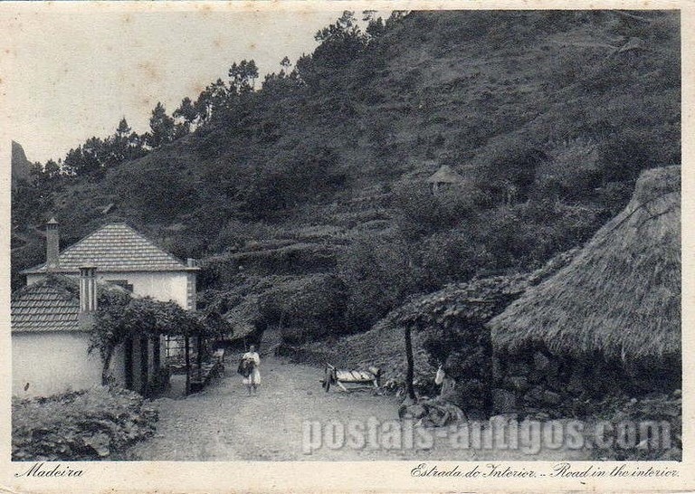Bilhete postal ilustrado de Funchal, estrada do interior, Madeira | Portugal em postais antigos 