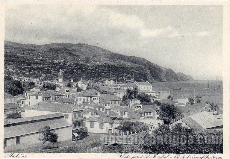 Bilhete postal ilustrado de Funchal, vista parcial, Madeira | Portugal em postais antigos 
