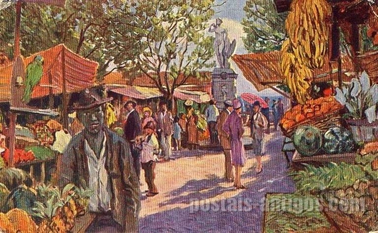 Bilhete postal ilustrado do Mercado de frutas de Funchal, Madeira | Portugal em postais antigos 