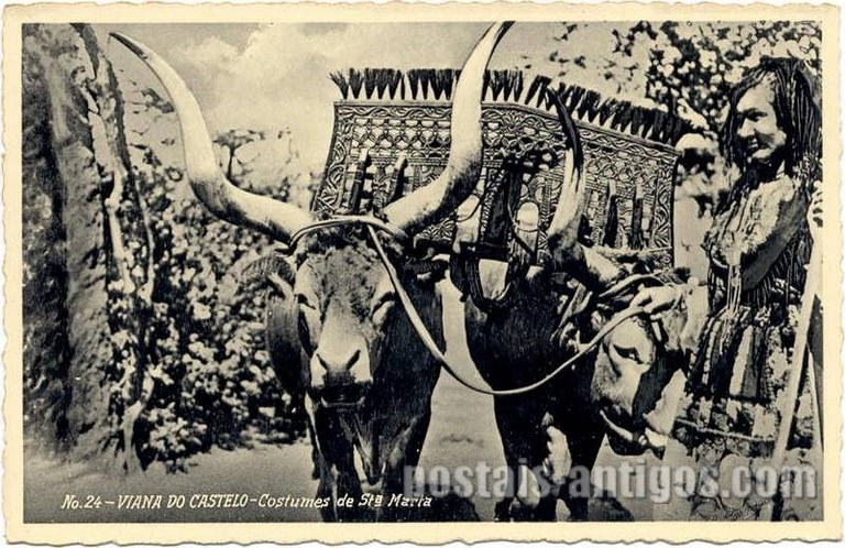 Bilhete postal ilustrado de Viana do Castelo, Costumes de Santa Marta | Portugal em postais antigos