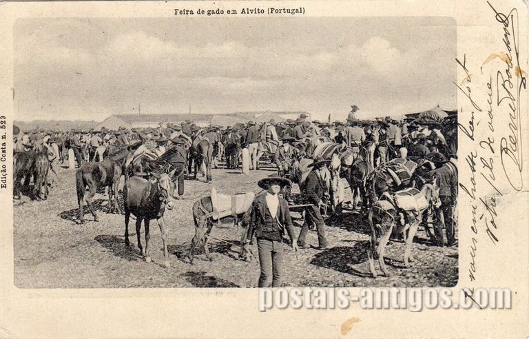 Bilhete postal ilustrado de Alvito : Feira de Gado | Portugal em postais antigos