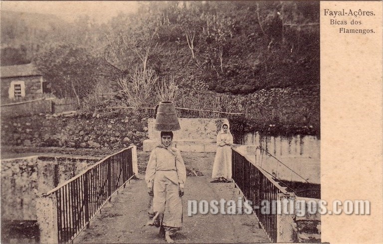 Bilhete postal de Bicas dos Flamengos, Faial, Açores | Portugal em postais antigos 