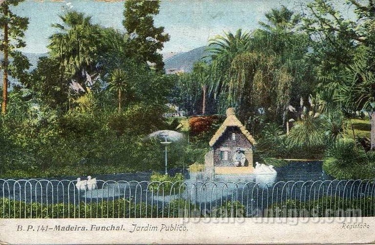 Bilhete postal ilustrado do Jardim público de Funchal, Madeira | Portugal em postais antigos 