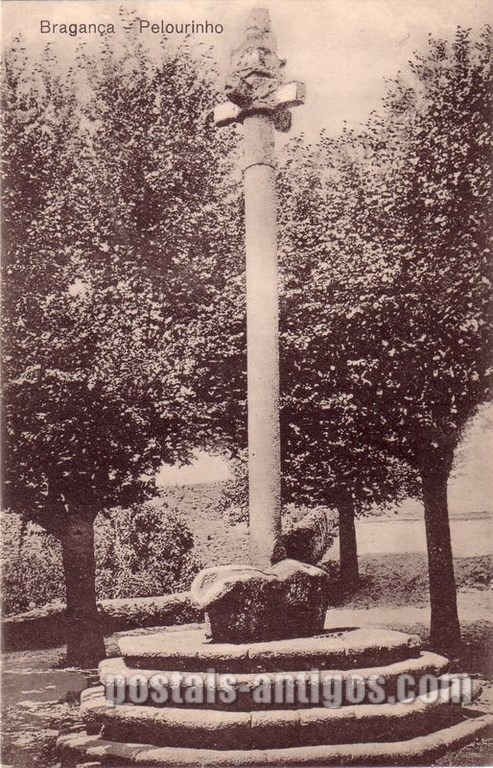 Postais antigos de Bragança: Pelourinho | Portugal em postais antigos
