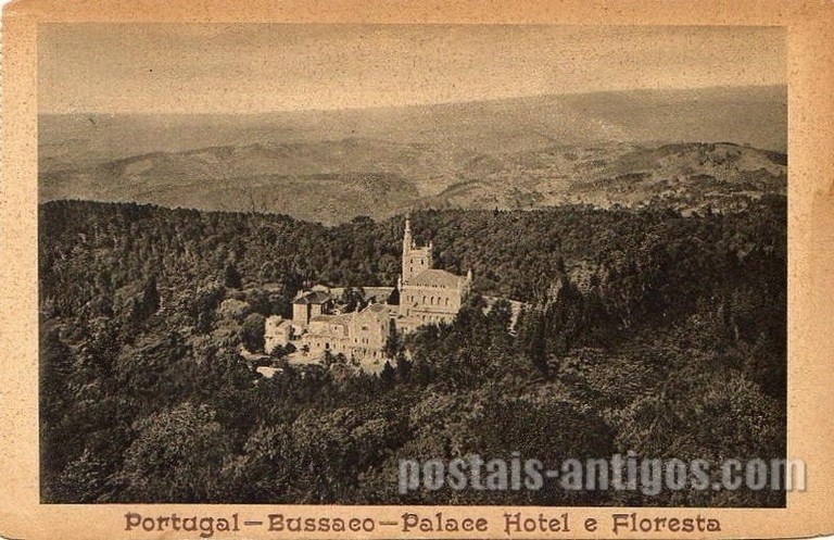 Postal antigo de Buçaco, Portugal: Palace Hotel e floresta.