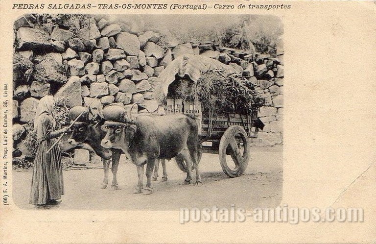 Bilhete postal antigo de Pedras Salgadas, Caro de transportes, Trás-os-Montes | Portugal em postais antigos