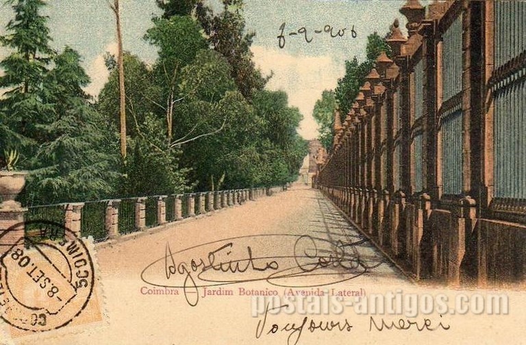 Postal antigo de Coimbra, Portugal: Jardim Botânico, Avenida Lateral.