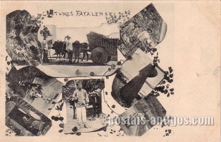 Bilhete postal de Costumes faialenses, Faial, Açores | Portugal em postais antigos 